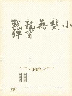 战龙无双小说无弹窗