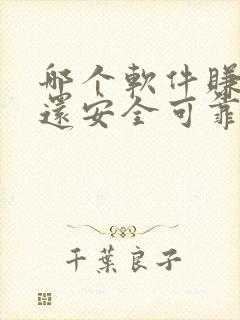 哪个软件赚钱多还安全可靠