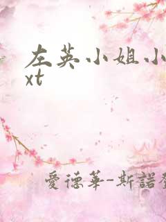 左英小姐小说txt