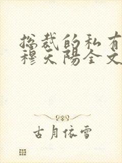 总裁的私有宝贝穆天阳全文阅读免费