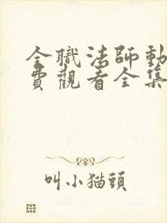全职法师动漫免费观看全集第二季
