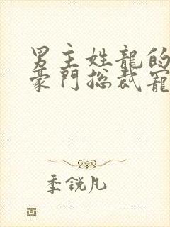 男主姓龙的小说豪门总裁宠文