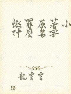 燃罪原著小说叫什么名字