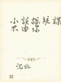 小说总统谋妻婚不由你