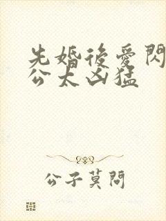 先婚后爱闪婚老公太凶猛 先婚后爱闪婚老公太凶猛