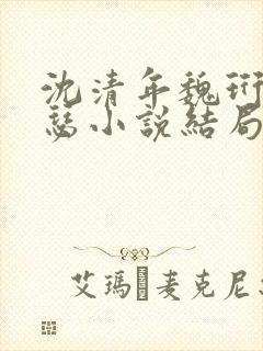 沈清年魏珩沈清瑟小说结局