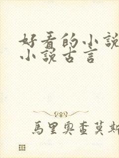 好看的小说言情小说古言