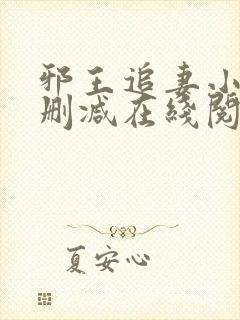邪王追妻小说无删减在线阅读