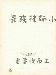 最强律师小说