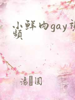 小鲜肉gay视频