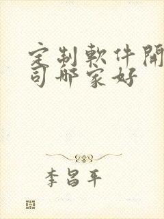 定制软件开发公司哪家好