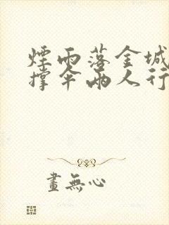 烟雨落金城一人撑伞两人行