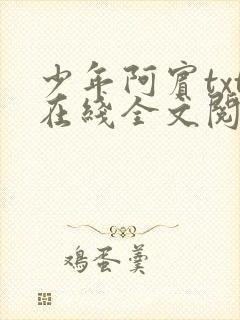 少年阿宾txt在线全文阅读