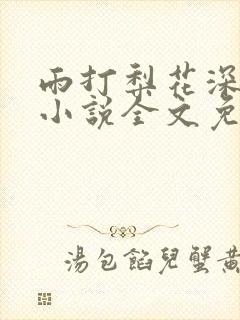 雨打梨花深闭门小说全文免费阅读
