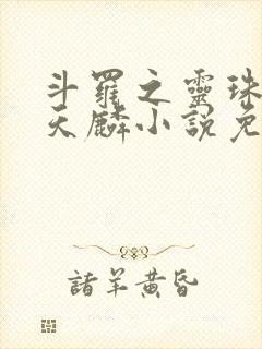 斗罗之灵珠神剑天麟小说免费阅读无弹窗 斗罗之灵珠神剑天麟小说免费阅读无弹窗