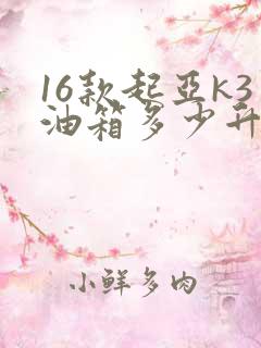 16款起亚k3油箱多少升