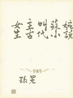 女主叫苏婉的重生古代小说