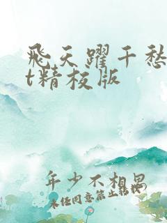飞天跃千愁txt精校版