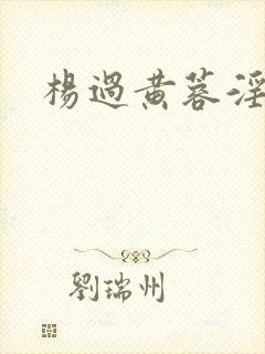 杨过黄蓉淫传 杨过黄蓉淫传