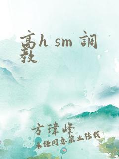 高h sm 调教