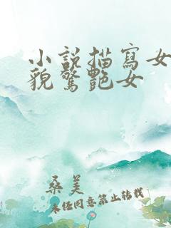 小说描写女主外貌惊艳女