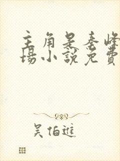 主角是秦峰的官场小说免费阅读