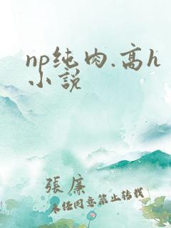 np纯肉.高h小说 np纯肉.高h小说
