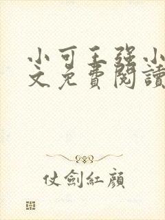 小可王强小说全文免费阅读