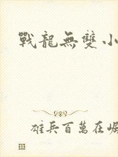 战龙无双小说版