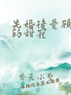 先婚后爱顾先生的甜宠