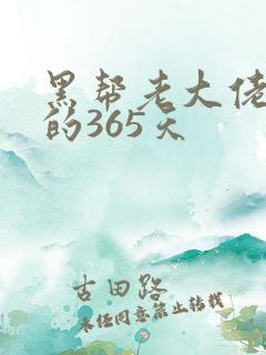 黑帮老大佬和我的365天