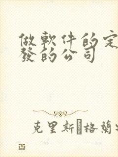 做软件的定制开发的公司