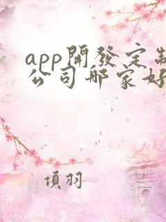 app开发定制公司哪家好做