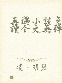 再遇小说免费阅读全文无弹窗