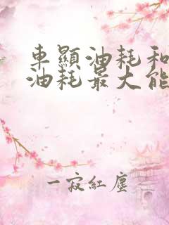 车显油耗和实际油耗最大能差多少 车显油耗和实际油耗最大能差多少