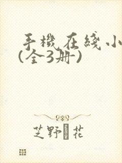 手机在线小说飘(全3册)