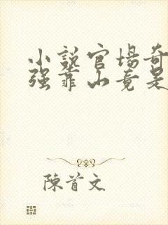 小说官场奇才最强靠山竟是我自己李澜免费