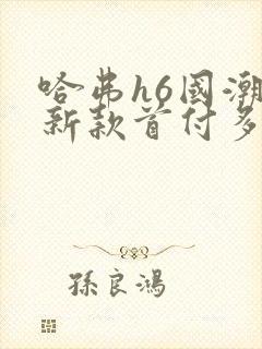 哈弗h6国潮版新款首付多少钱