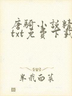唐骑小说精校版txt免费下载