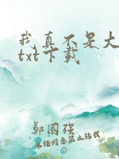 我真不是大佬 txt下载
