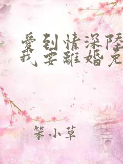 爱到情深陆先生我要离婚免费阅读