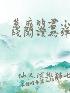 万历明君小说在线阅读无弹窗