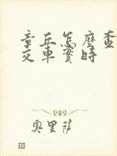 章丘怎么查询公交车实时