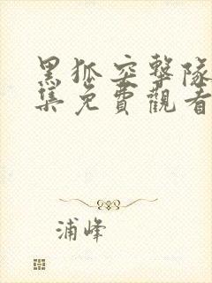 黑狐突击队58集免费观看