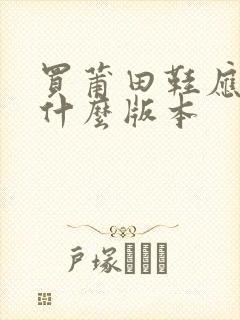 买莆田鞋应该买什么版本