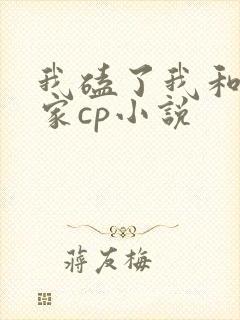 我磕了我和我对家cp小说