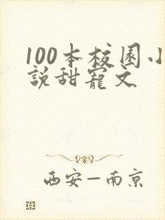 100本校园小说甜宠文