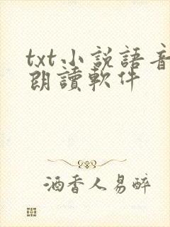 txt小说语音朗读软件