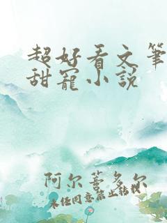 超好看文笔好的甜宠小说