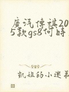 广汽传祺2025款gs8何时上市